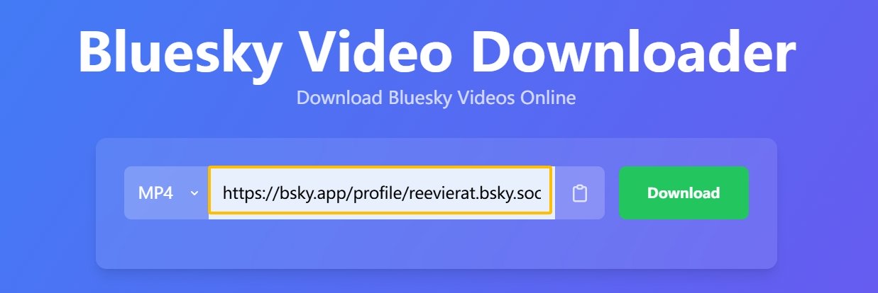 قم بلصق عنوان URL في حقل الإدخال أعلاه